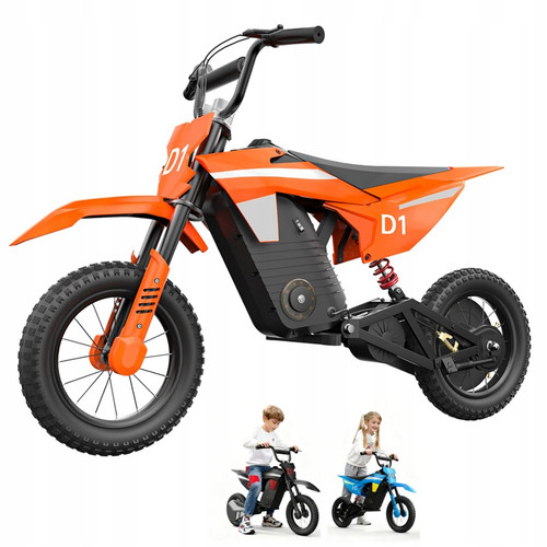 Electric kids dirt bike 300w - electric,